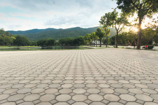 Best Local Driveway Pavers  in Wisr, NE